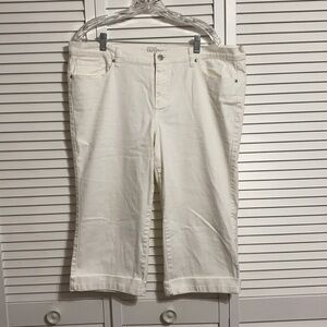 New York & co low rise wide leg crop!!
